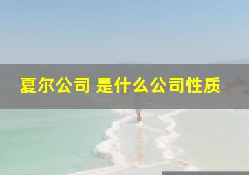 夏尔公司 是什么公司性质